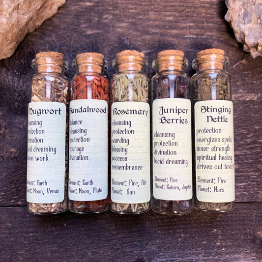 Set of 5 Protection Herbs | Witchcraft Spell Herbs | Magical Herbs | Herb Starter Kit | Witch Herb Bottles | Apothecary Herbs | Ritual Herbs - Spellbound