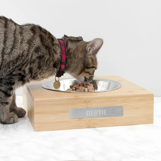 Personalised Bamboo Single Pet Bowl - Spellbound