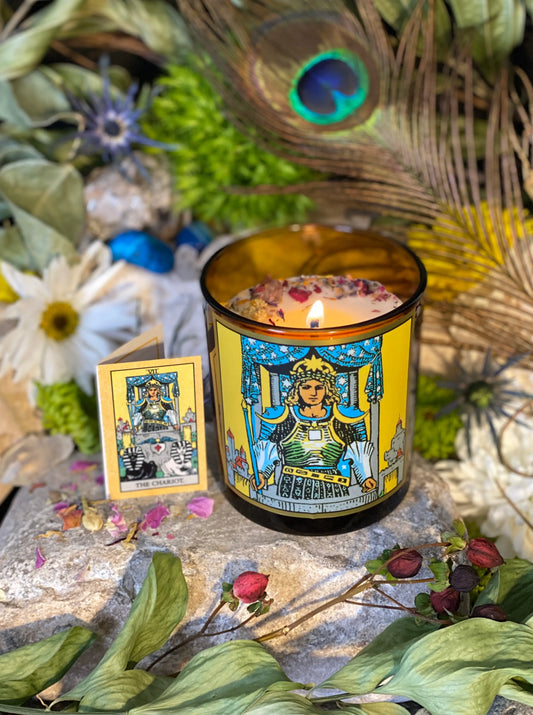 8.5oz Chariot Tarot Candle - Spellbound