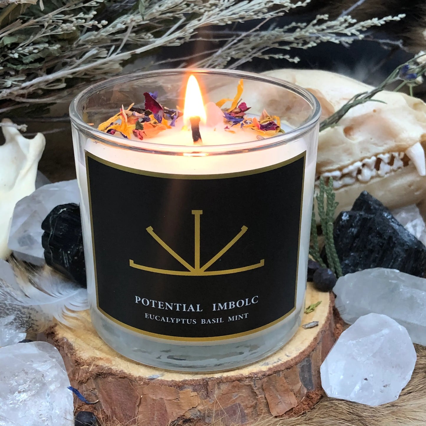 6oz Potential/Imbolc Candle - Spellbound