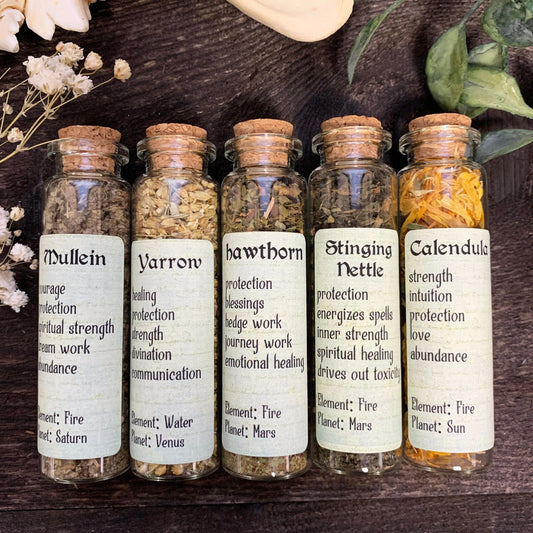 Green Witch Set of 5 Herbs | Witchcraft Spell Herbs | Magical Herbs | Herb Starter Kit | Witch Herb Bottle | Apothecary Herbs | Ritual Herbs - Spellbound