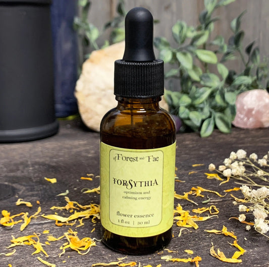 Optimism - Forsythia Flower Essence | Energy Work | Earth Magick | Herbal Infusion | Tincture | Herb Magick | Green Witch | Calming Energy - Spellbound