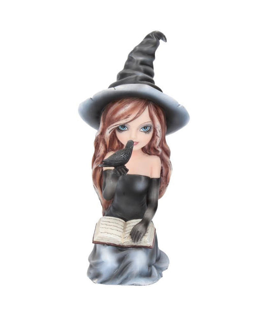 Regan Witch & Her Raven Figurine 15cm - Spellbound